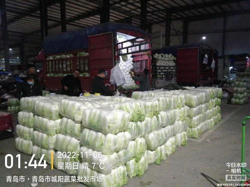 青島五大批發(fā)市場保障市民“菜籃子”供應(yīng)，零售價(jià)格持續(xù)走低
